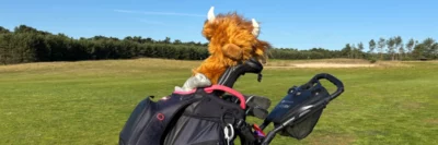 Daphne Highland Cow headcover op golfbaan