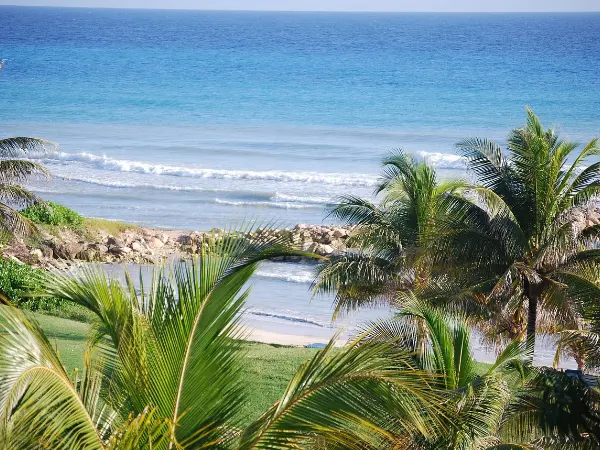 tui golfvakanties - palmtrees and beach